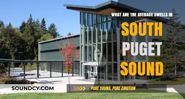 Exploring the Typical Swells of South Puget Sound: A Comprehensive Guide