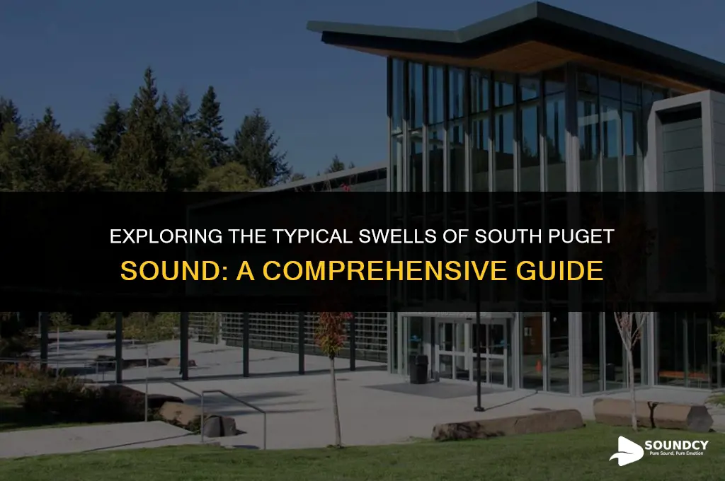 what are the average swells in south puget sound