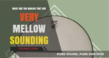 Exploring the Gentle Melodies: A Guide to Mellow Banjos