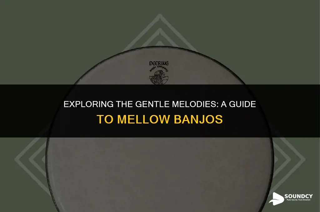 what are the banjos that are very mellow sounding