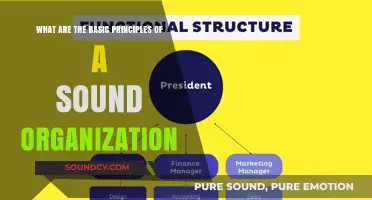 Foundational Principles for Building a Sound Organization