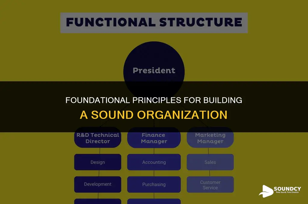 what are the basic principles of a sound organization
