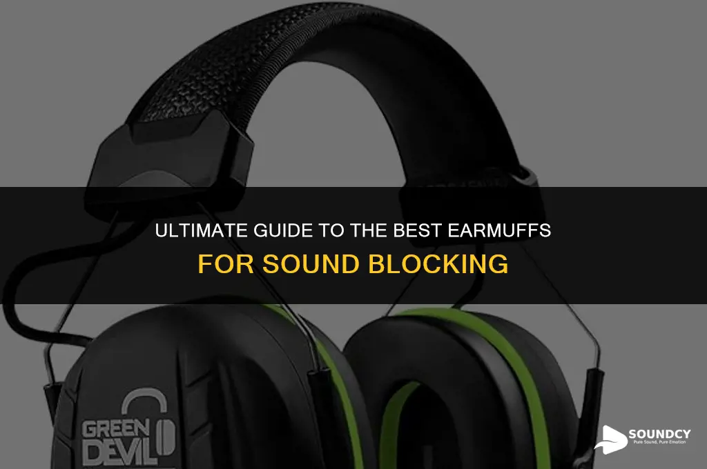 what are the best earmuffs to block out sound