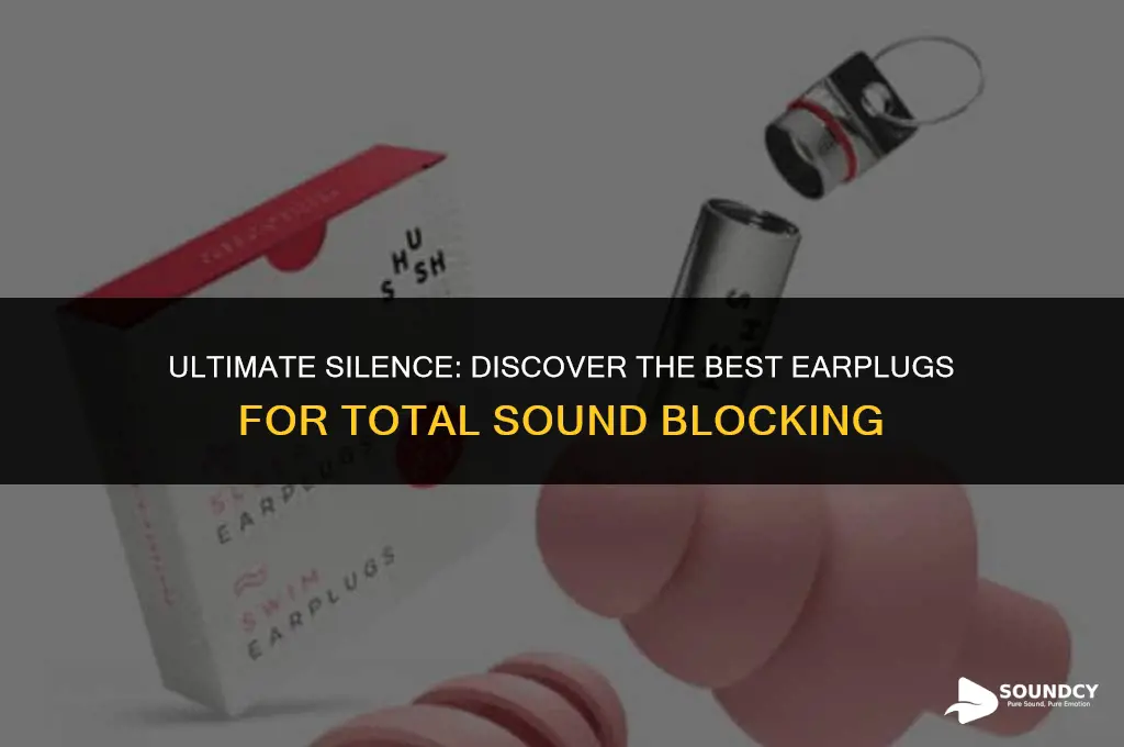 what are the best earplugs for blocking all sound