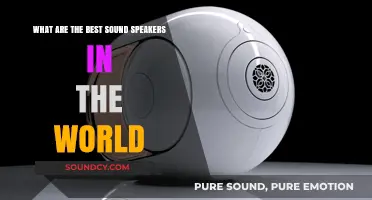 Unveiling the Pinnacle of Audio Excellence: World's Finest Sound Speakers