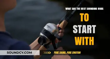 Unleash Your Inner Angler: Top Rod Picks for Beginners