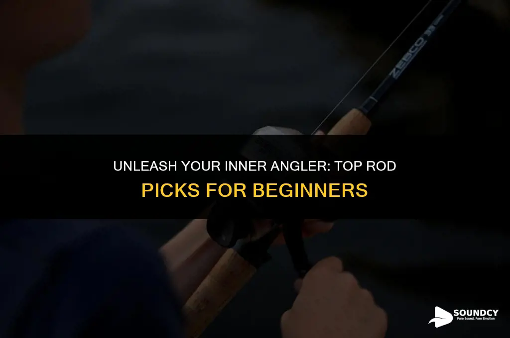 what are the best sounding rods to start with