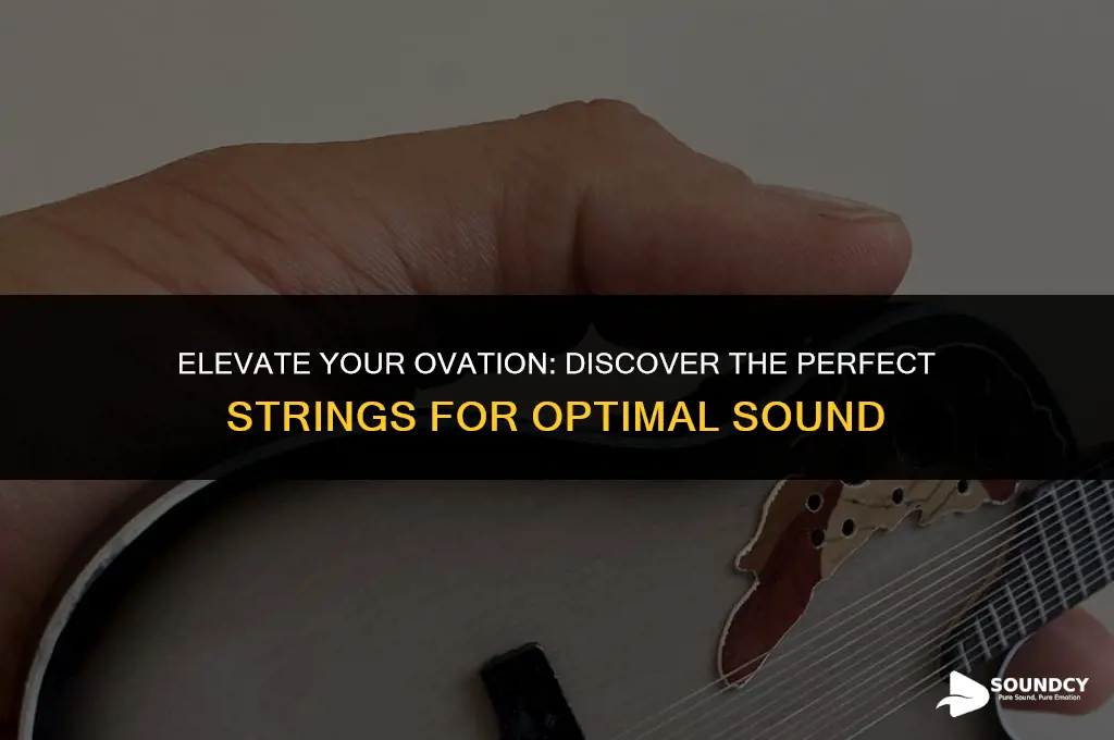 what are the best sounding strings for my ovation