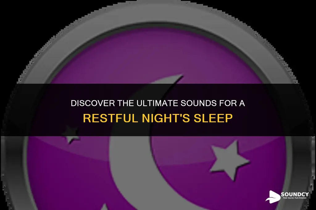 what are the best sounds to fall asleep to