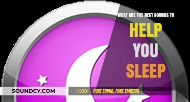 Discover the Ultimate Soundscape for a Restful Night's Sleep
