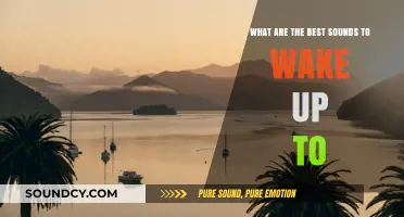 Rise and Shine: Discover the Best Sounds to Wake Up To