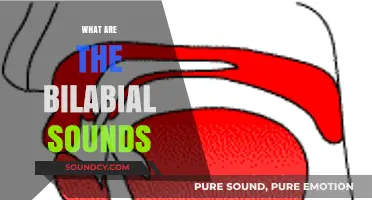 Exploring Bilabial Sounds: Understanding How Lips Create Unique Speech Sounds
