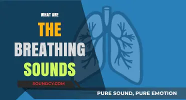 Understanding Breathing Sounds: Types, Causes, and What They Indicate