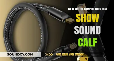 Decoding Sound Waves: Understanding the Bumping Lines of Calf Audio