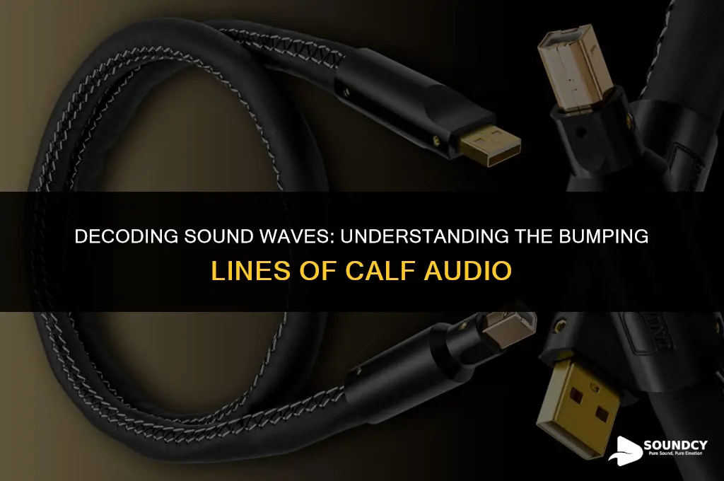 what are the bumping lines that show sound calf