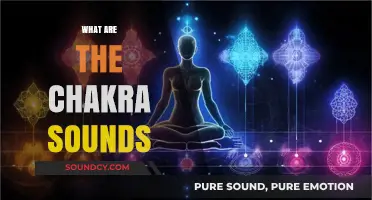 Discover the Healing Vibrations: Exploring the Sounds of Chakras