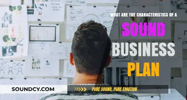 Blueprint for Success: Key Traits of a Sound Business Plan