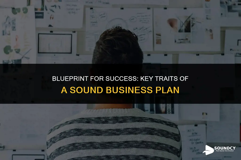 what are the characteristics of a sound business plan