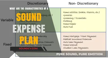 Essential Traits of a Robust Expense Management Strategy
