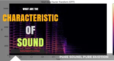 Sound Characteristics: The Science of Hearing