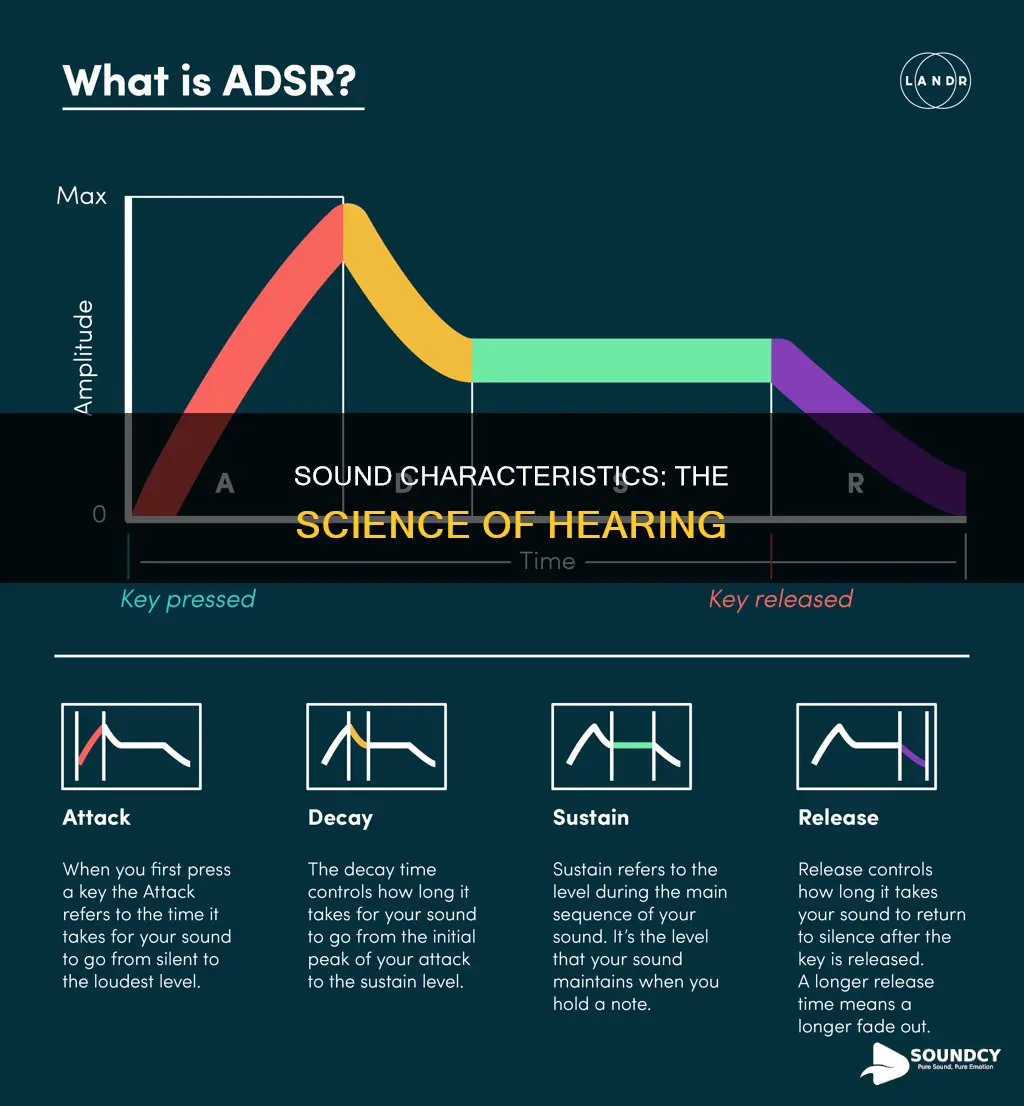 what are the characteristics of sound