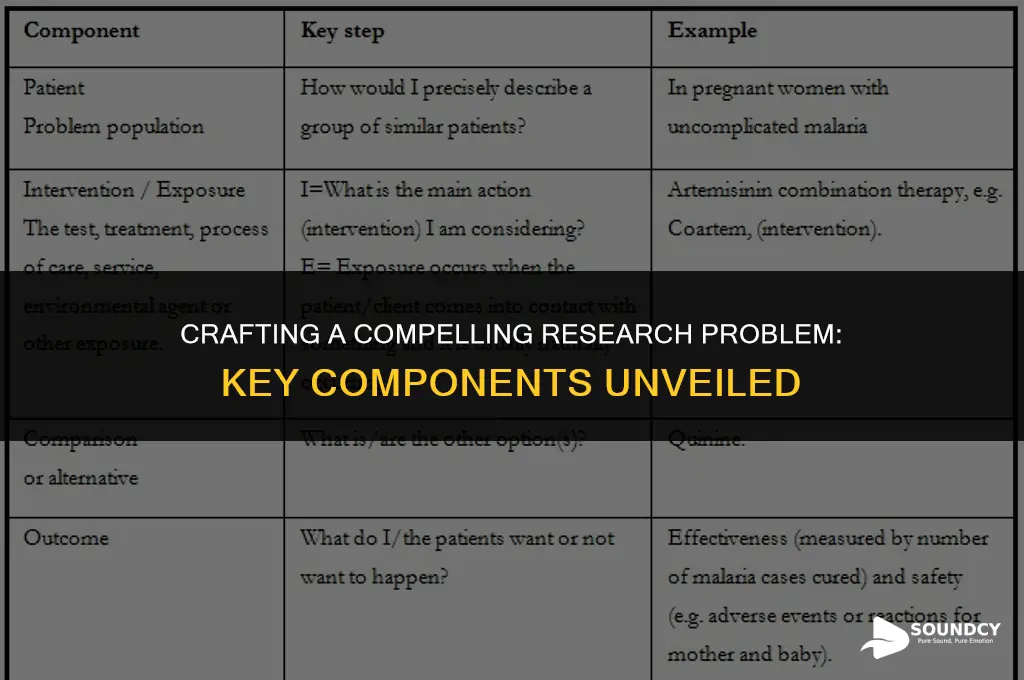 what are the components of a sound research problem