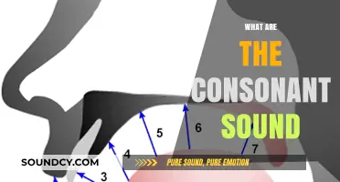 Exploring Consonant Sounds: Understanding Their Role in Speech and Language