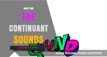 Understanding Continuant Sounds: A Comprehensive Guide to Their Role in Speech