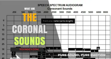 Understanding Coronal Sounds: A Comprehensive Guide to Their Role in Speech