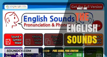 Exploring the Rich Tapestry of English Phonetics: Sounds and Pronunciation