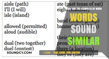 Exploring Homophones: Words That Sound Alike but Mean Different Things