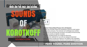 Exploring the First and Second Sounds of Korotkoff: A Medical Insight
