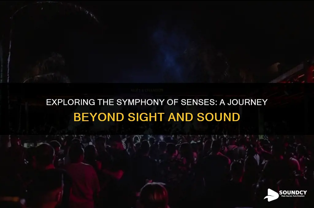 what are the five senses feels like sounds like