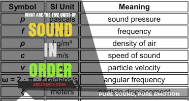 Exploring the Five Essential Units of Sound: A Comprehensive Guide