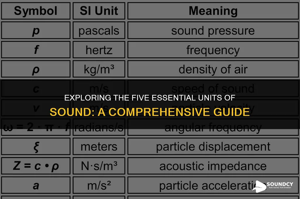 what are the five units of sound in order