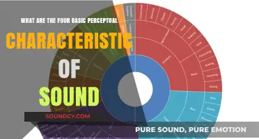 Exploring the Fundamental Perceptual Traits of Sound