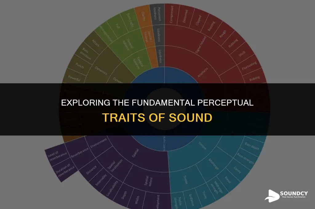 what are the four basic perceptual characteristics of sound