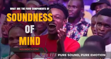 Exploring the Pillars of Mental Wellness: A Guide to Soundness of Mind