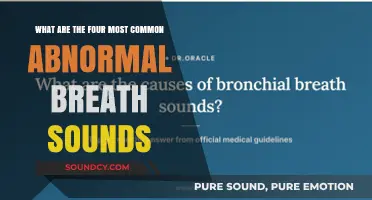 Exploring the Most Frequent Abnormal Breath Sounds: A Comprehensive Guide