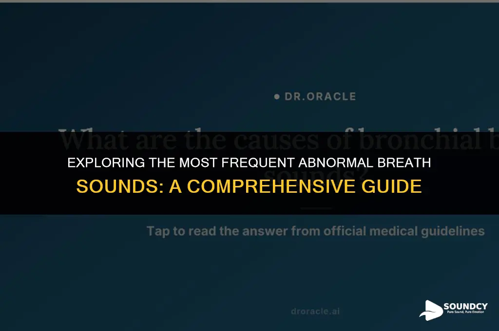what are the four most common abnormal breath sounds