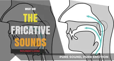 Exploring Fricative Sounds: Understanding Their Role in Phonetics and Speech