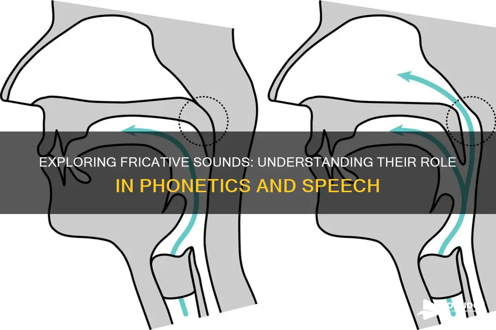 what are the fricative sounds