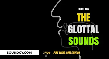 Understanding Glottal Sounds: Definition, Types, and Role in Speech