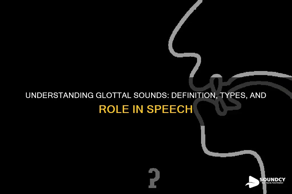 what are the glottal sounds