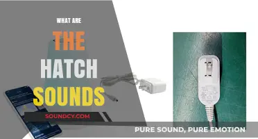 Understanding Hatch Sounds: Origins, Meanings, and Fascinating Facts
