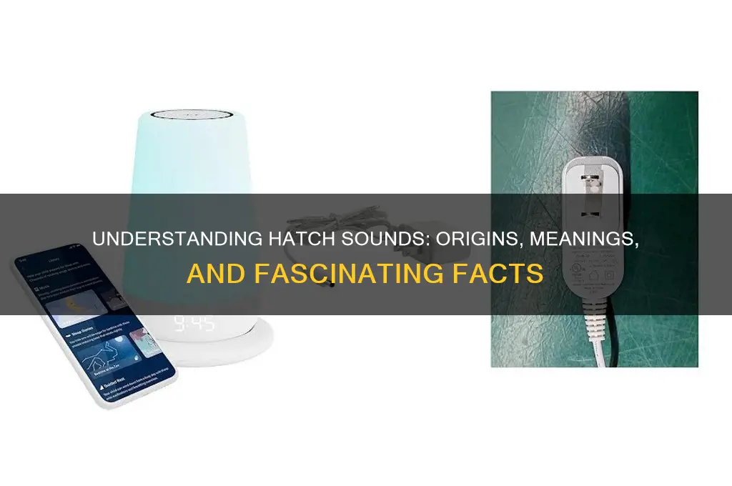 what are the hatch sounds