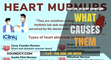 Understanding Heart Sounds: Causes and Significance