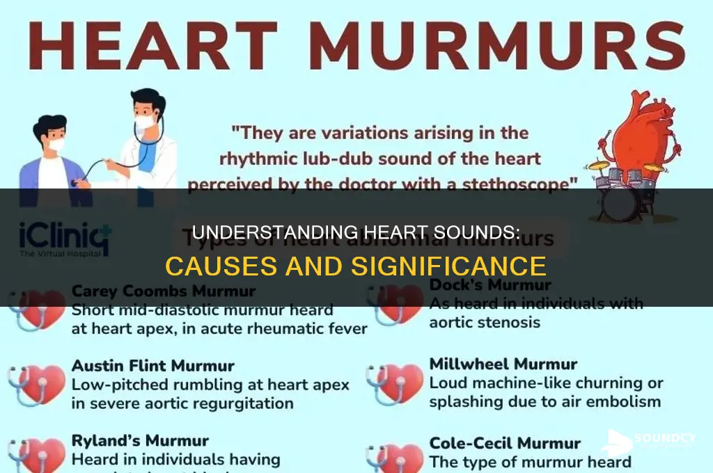 what are the heart sounds and what causes them
