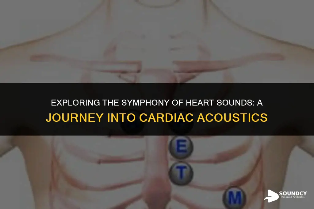 what are the heart sounds how are they produced