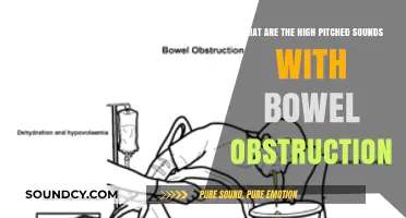Understanding High-Pitched Sounds Associated with Bowel Obstruction